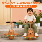 Pogo Ball Infantil con Luces LED 